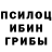 Псилоцибиновые грибы Magic Shrooms Timtimy26
