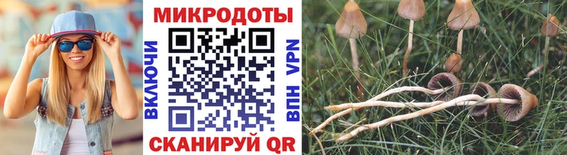 Галлюциногенные грибы Cubensis  Голицыно 
